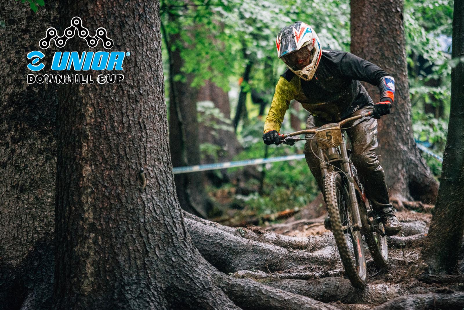 Unior DH Cup